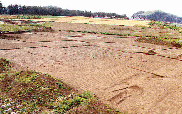 발굴지근경