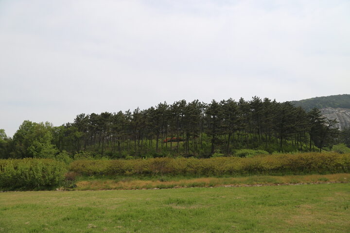 정읍시