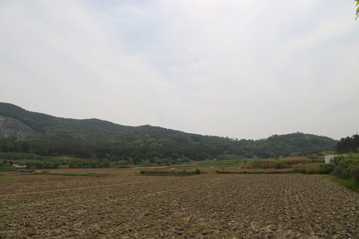 정읍시
