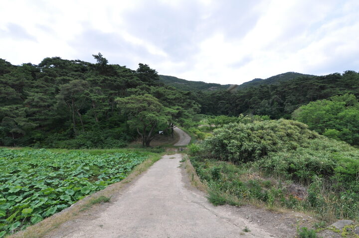 경주 일성왕릉 진입로 전경 (고도보존육성과, 2017)