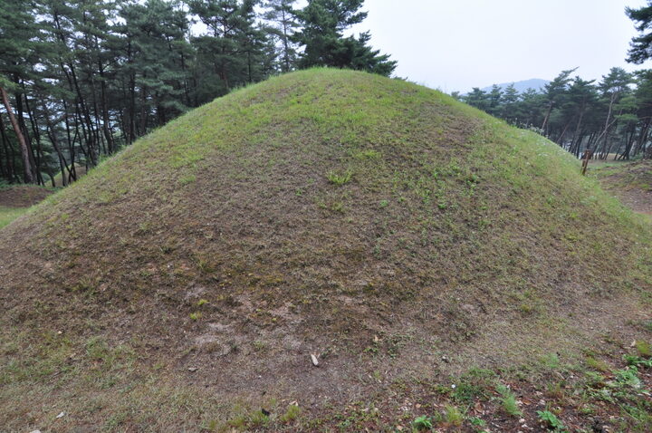 경주 진흥왕릉 배면 (고도보존육성과, 2017)