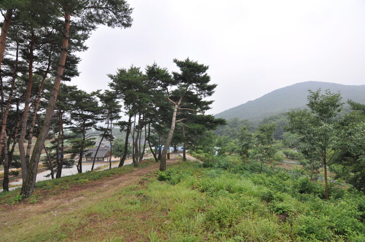 경주 진흥왕릉 진입부 전경 (고도보존육성과, 2017)