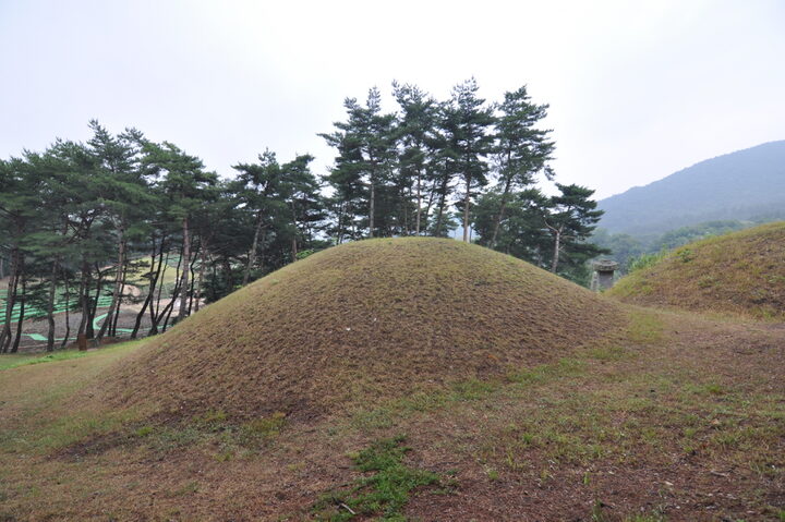 경주 헌안왕릉 배면 (고도보존육성과, 2017)