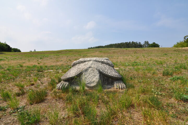 경주 사천왕사지 진입부 사적지 내 귀부 (고도보존육성과, 2017)