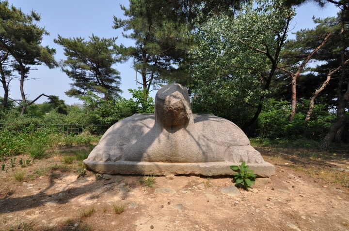경주 흥덕왕릉 귀부 (고도보존육성과, 2017)