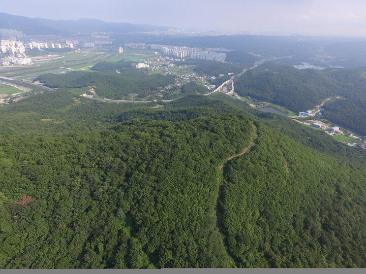 관문성 숨금산 인근 유구잔존 구간(서쪽에서 동쪽으로 조망)(고도보존육성과, 2017)
