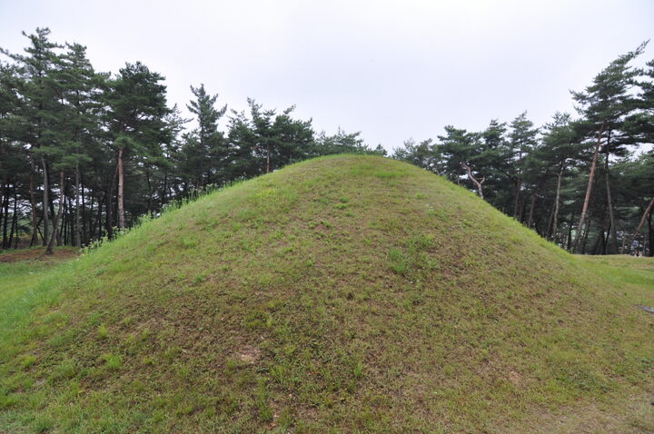 경주 진지왕릉 배면 (고도보존육성과, 2017)