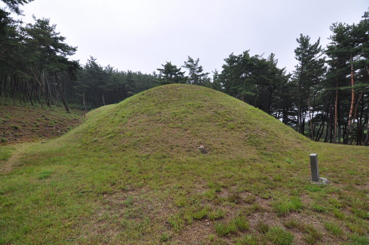 경주 진지왕릉 우측면 (고도보존육성과, 2017)