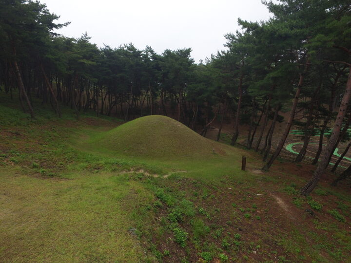 경주 문성왕릉 서쪽상공(동쪽으로 조망) (고도보존육성과, 2017)