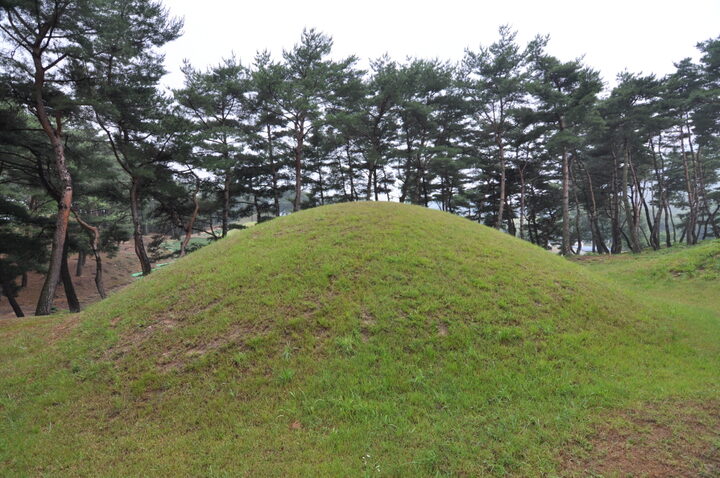 경주 문성왕릉 배면 (고도보존육성과, 2017)