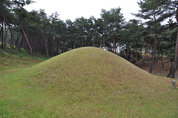 경주 문성왕릉 좌측면 (고도보존육성과, 2017)