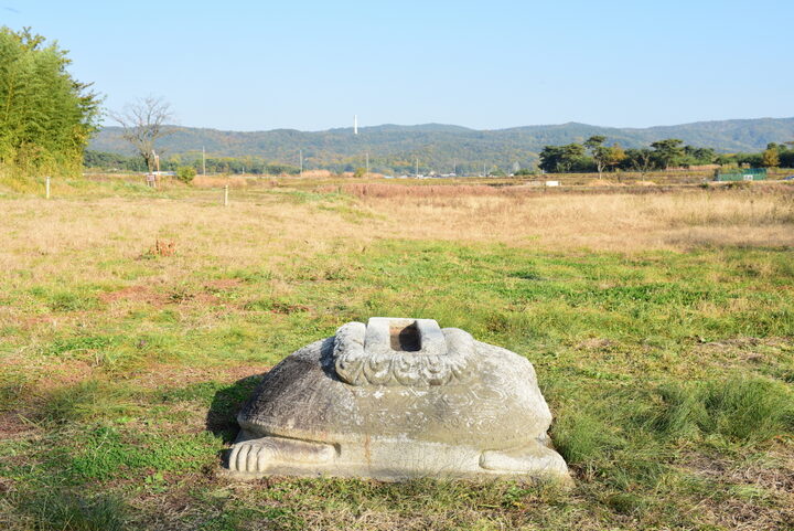 경주 사천왕사지_거북모양 비석 전경 (촬영년도 : 2015년)