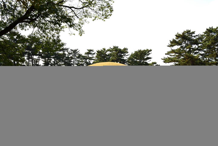 경주 무열왕릉_전경 (촬영년도 : 2015년)
