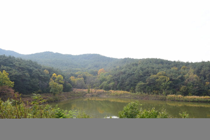 경주 남산신성_일원1 (촬영년도 : 2015년)