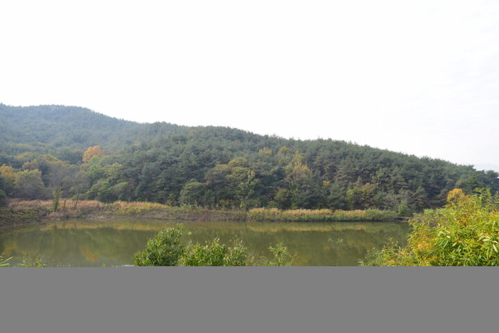 경주 남산신성_일원2 (촬영년도 : 2015년)
