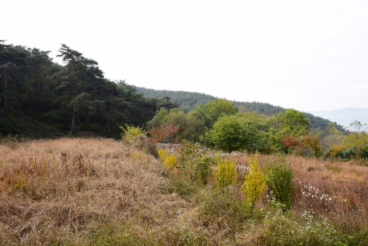 경주 남산신성_일원4 (촬영년도 : 2015년)