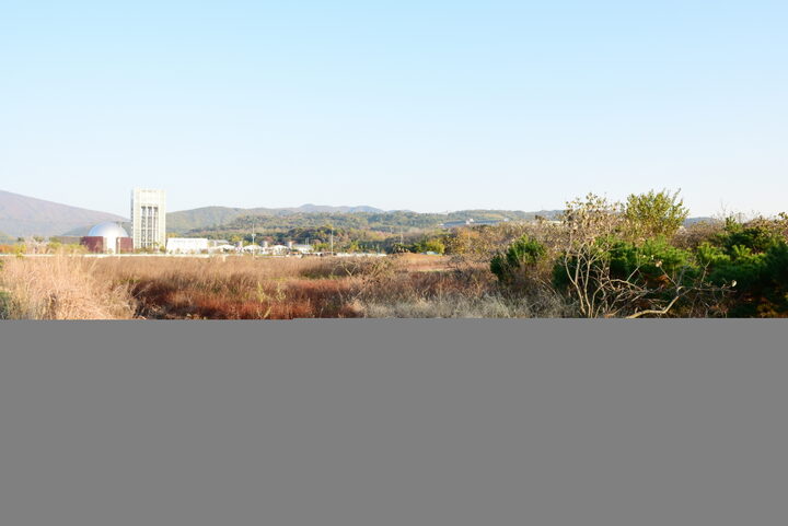 경주 천군동 사지_1 (촬영년도 : 2015년)