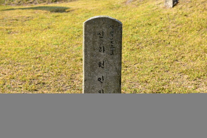 경주 헌안왕릉_1 (촬영년도 : 2015년)