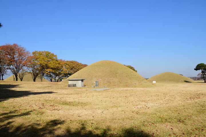 경주 내물왕릉_전경 (촬영년도 : 2015년)