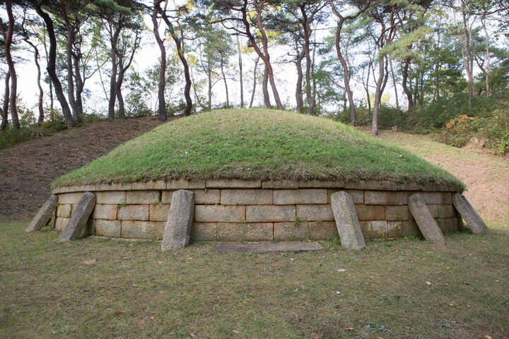 경주 전 민애왕릉_전경 (촬영년도 : 2015년)