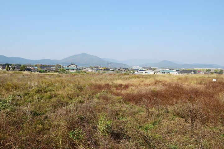 경주 천관사지_전경 (촬영년도 : 2015년)