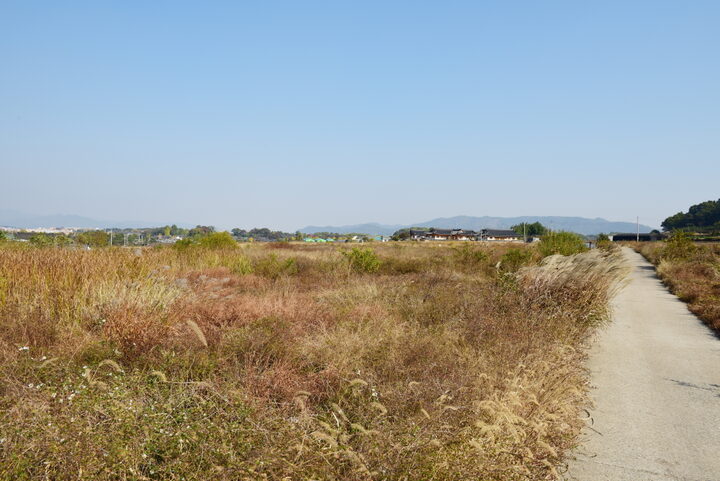 경주 천관사지_1 (촬영년도 : 2015년)
