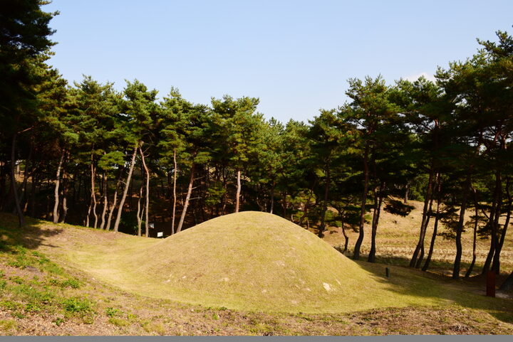 경주 문성왕릉_배면 (촬영년도 : 2015년)