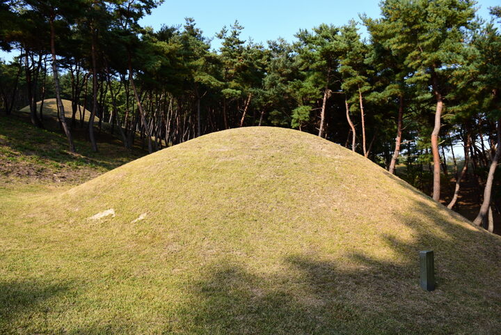 경주 문성왕릉_봉분 측면 (촬영년도 : 2015년)