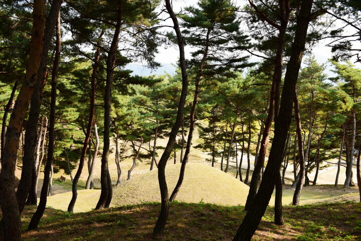 경주 문성왕릉_후경 (촬영년도 : 2015년)