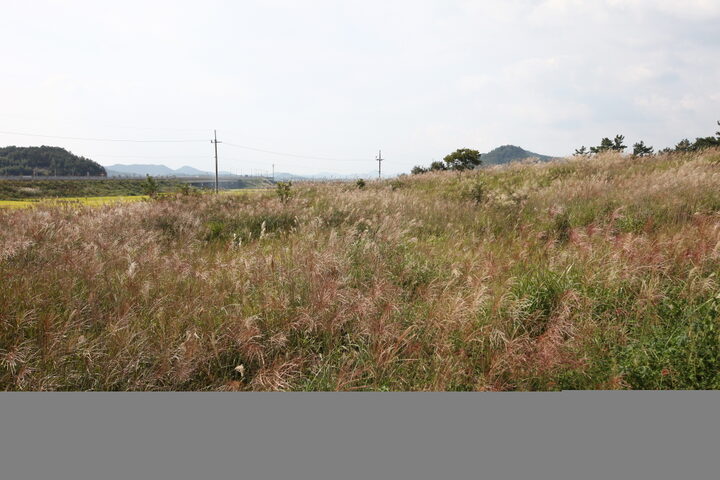 나주 오량동 요지_서쪽전경 (촬영년도 : 2015년)