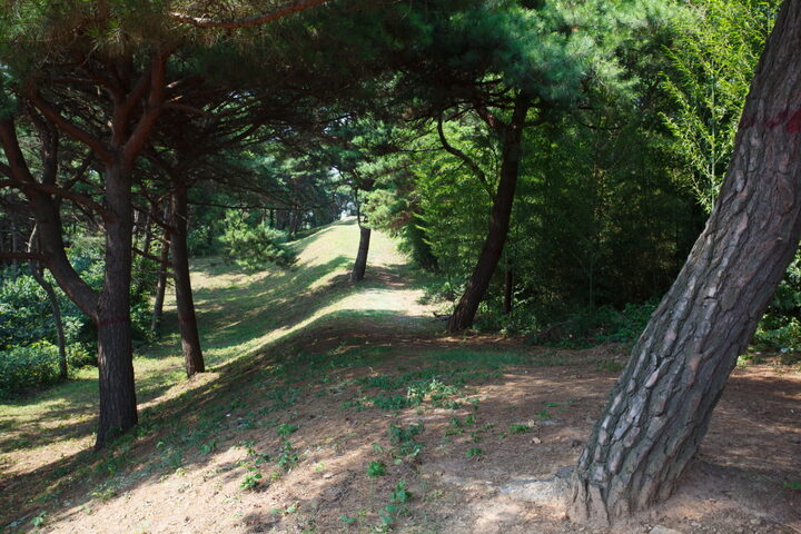 익산 토성_산쪽 전경 (촬영년도 : 2015년)