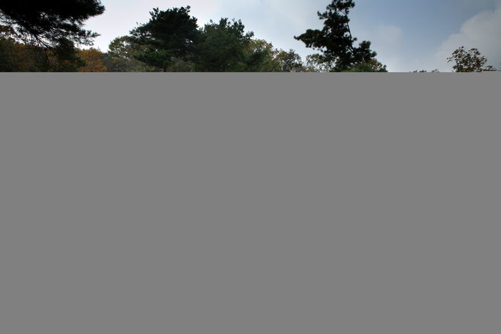 서울 정릉_능침 정면_미술_2006년(출처 : 국립문화재연구소)