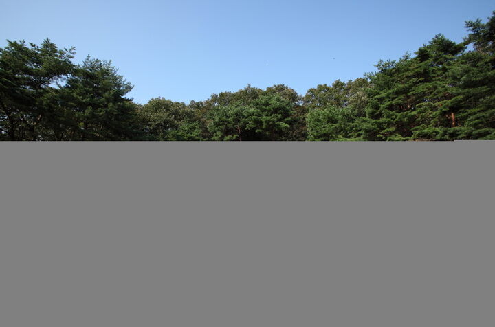 파주 소령원_능침_미술_2012년(출처 : 국립문화재연구소)