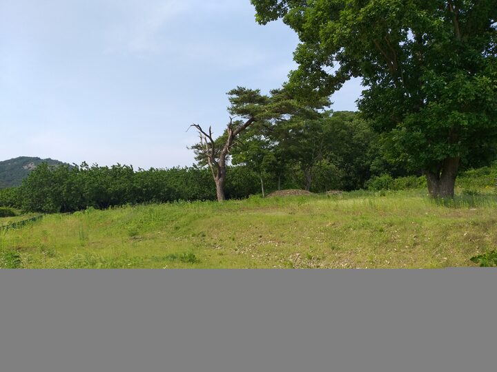 고창 용계리 청자요지 전경(2021년 촬영)