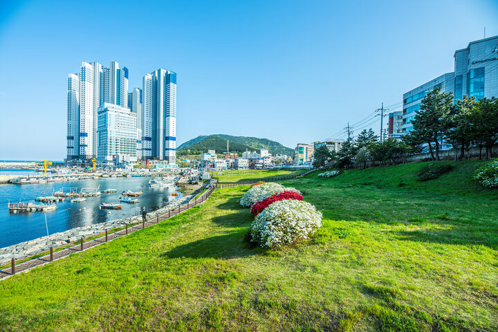 부산 동삼동 패총 전경