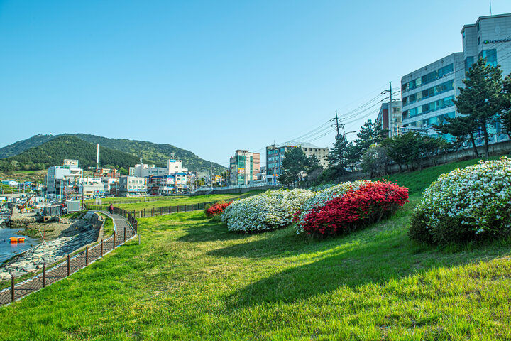 부산 동삼동 패총 전경