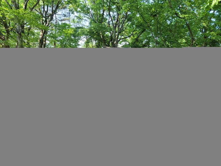 제2로 직봉 -  제천 오현 봉수 유적