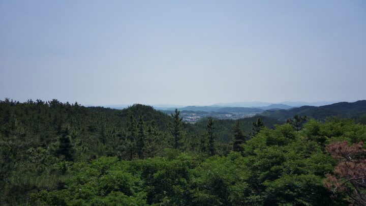제2로 직봉 - 영천 여음동 봉수 유적