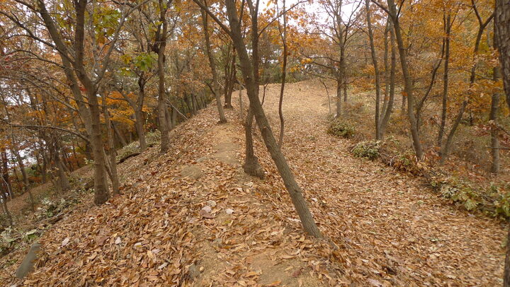 울산 개운포 경상좌수영성-북서성벽_20101123 촬영