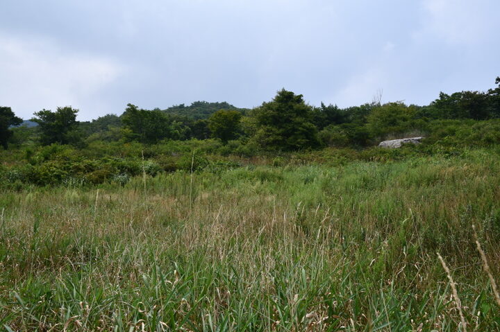 유구 확인 가능 지점 내부 전경 (촬영년도 : 2024년)