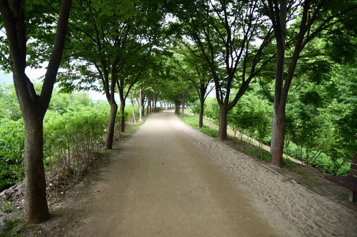 A구역 전경 (촬영년도 : 2024년)