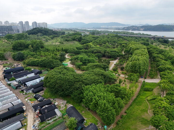 북측 구역2 (촬영년도 : 2024년)