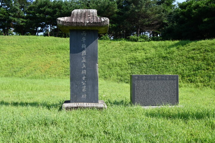 의사총 묘역 비석 (촬영년도 : 2024)