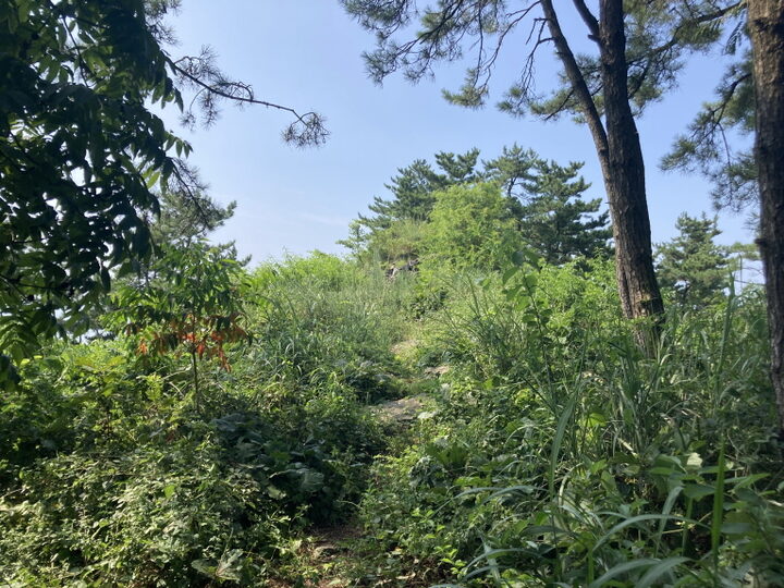 전경 (촬영년도 : 2024년)