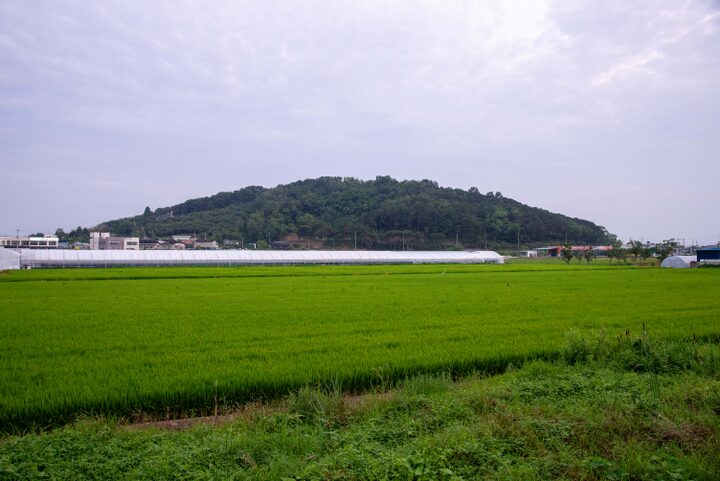 황화산봉수지(사진)_황화산 전경 (촬영년도_2024년)