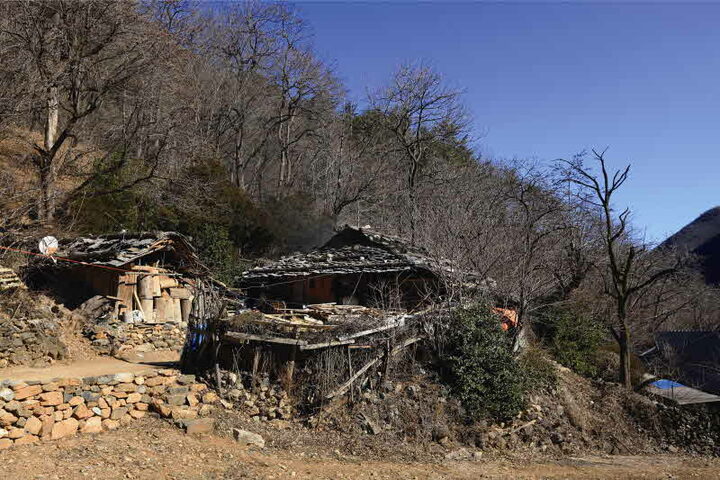전경