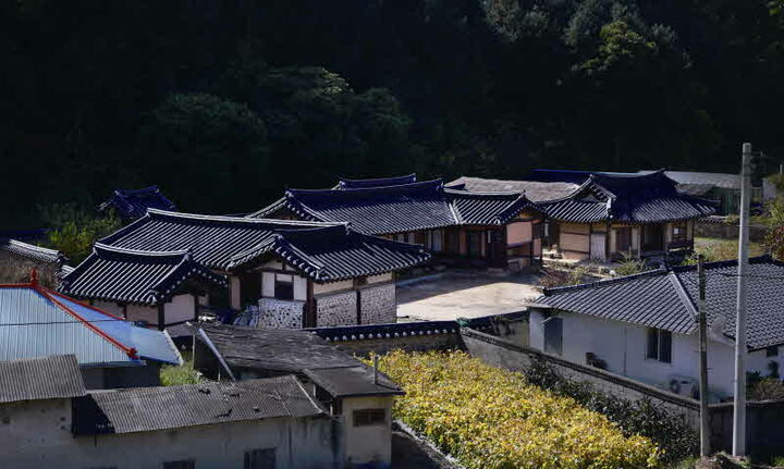 전경