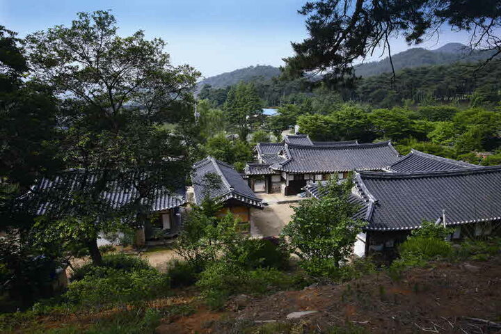 전경