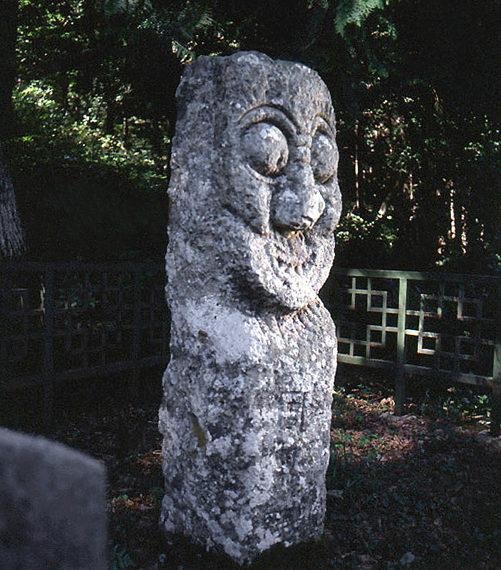 주장군