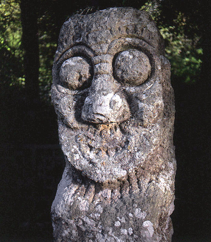 주장군